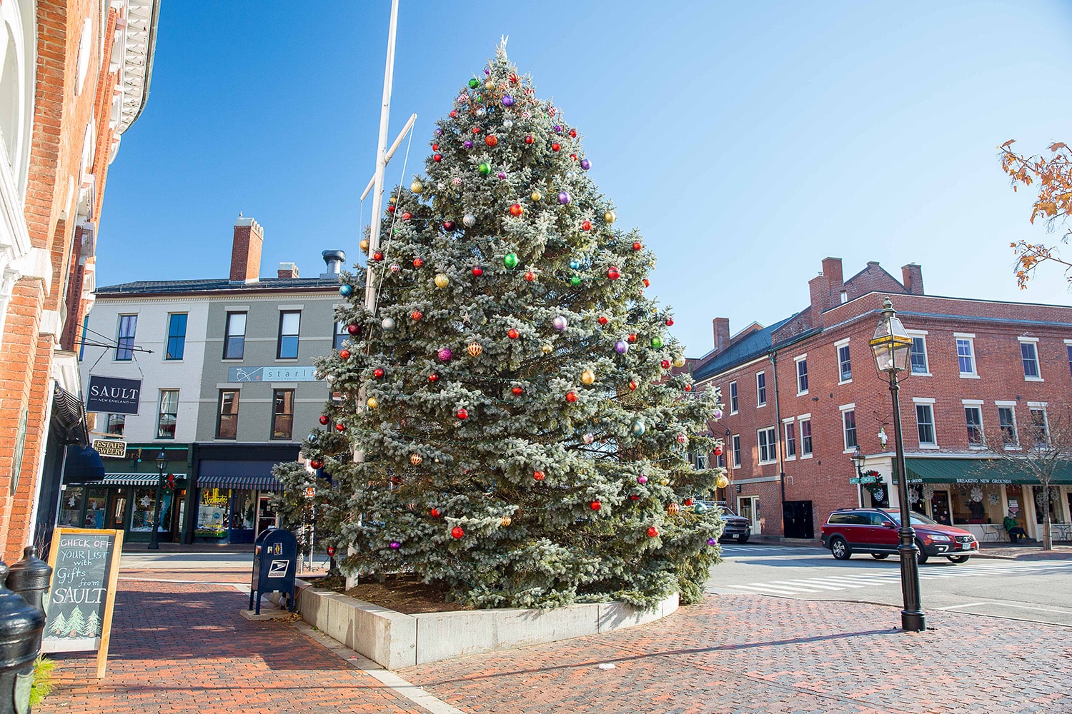 christmas tree in a town square