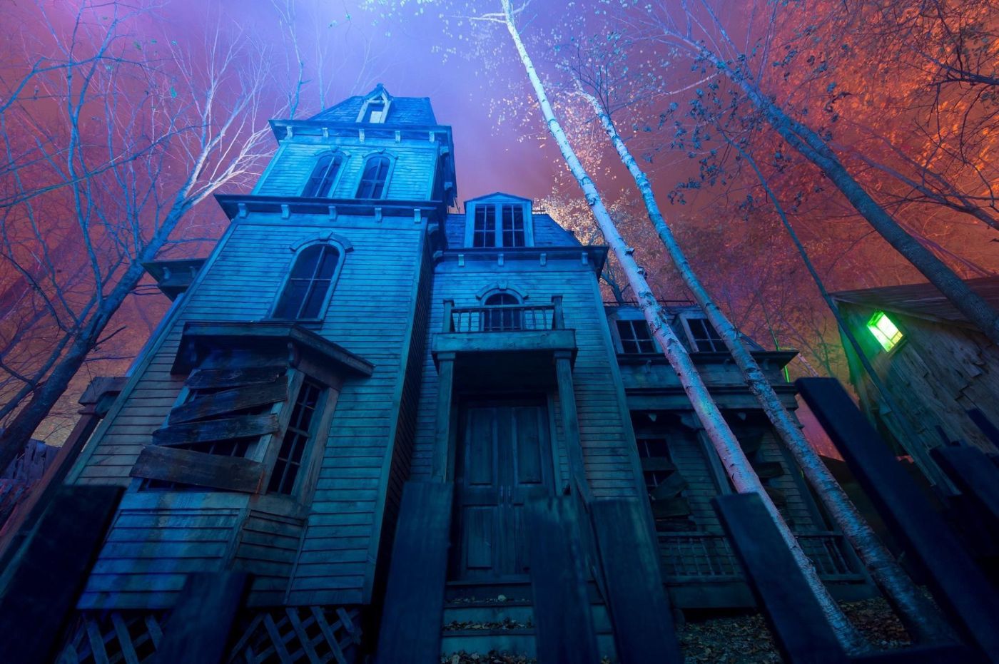 Haunted looking house at night with tall bare trees and a green light in window