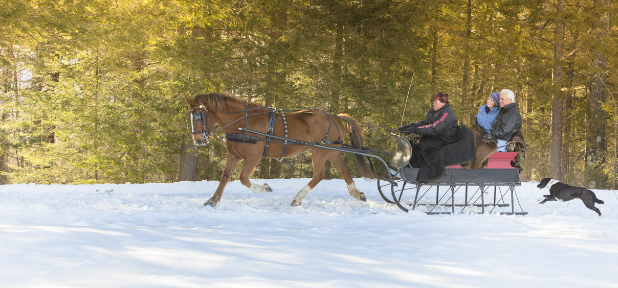 horse pulling people on a sleigh