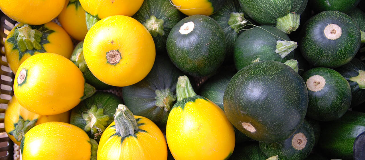 Zucchinis in a bin