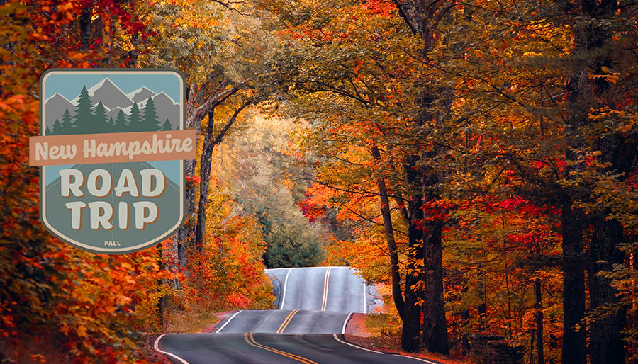 road in nh during fall with foliage