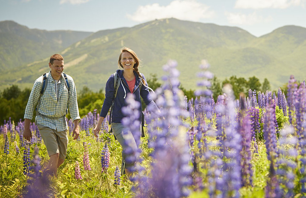 A couple walking through a flower field