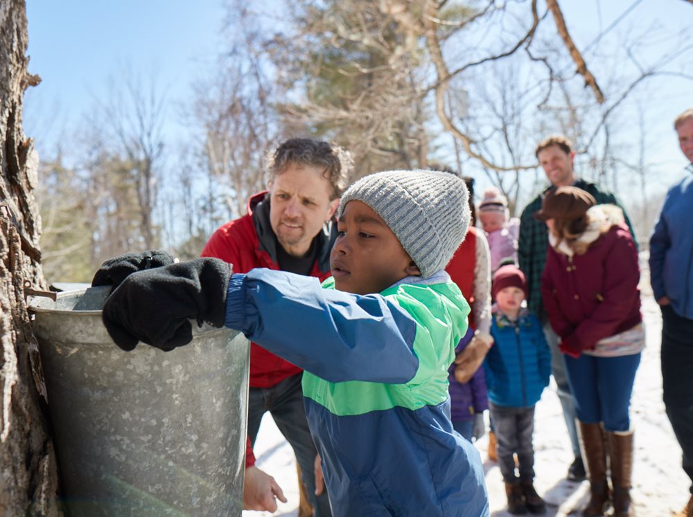 Kids collecting maple