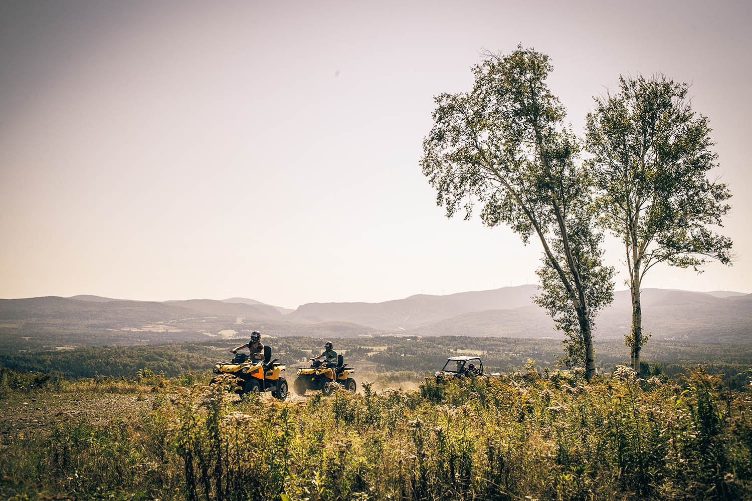 2 people riding ATVs through a field