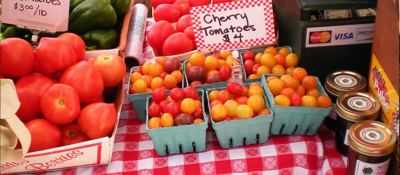 image of tomatoes in a basket