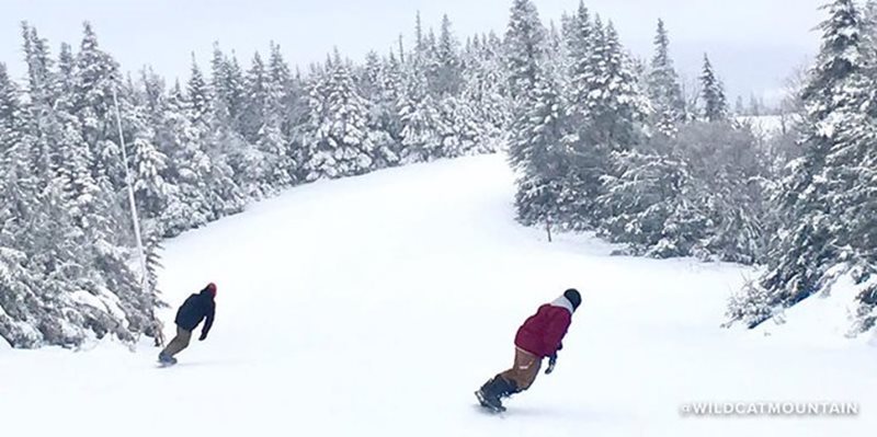 Polecat, Wildcat Mountain