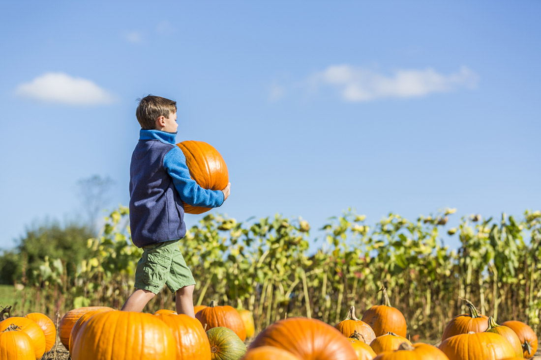 little boy carrying a pumpkin