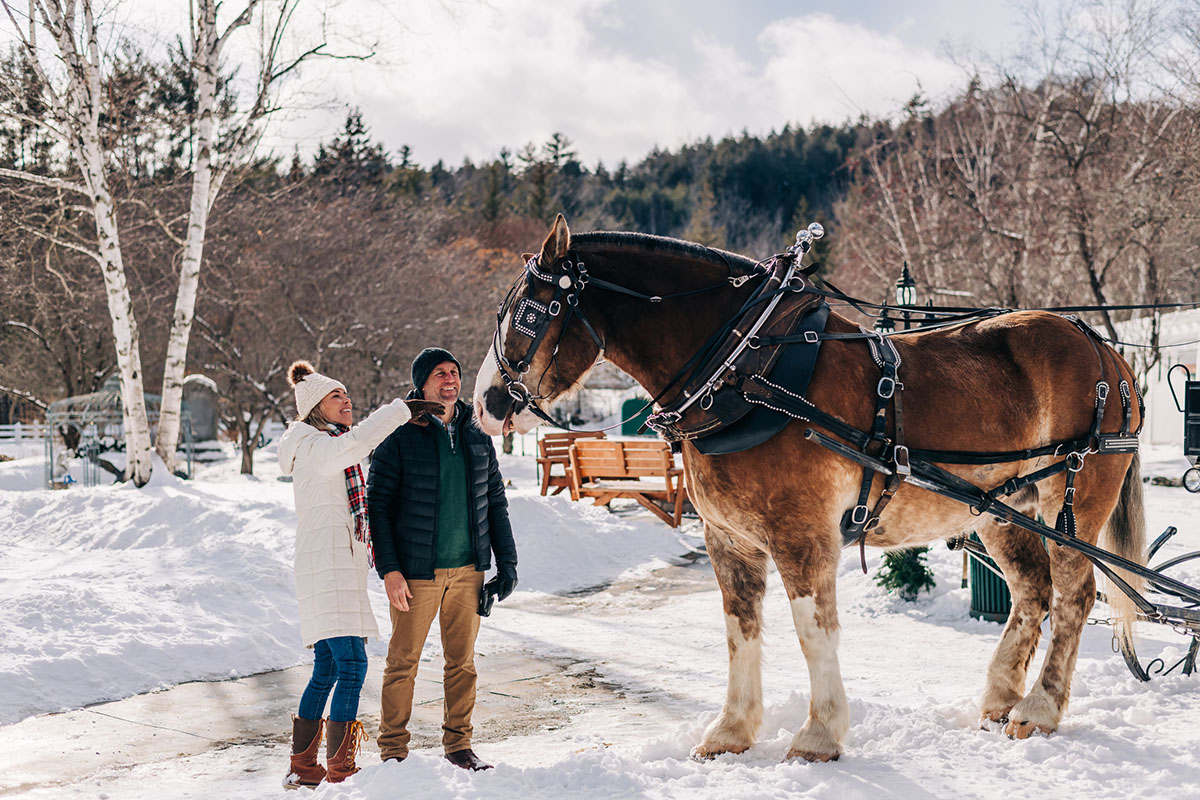 2 people petting a horse pulling a sleigh