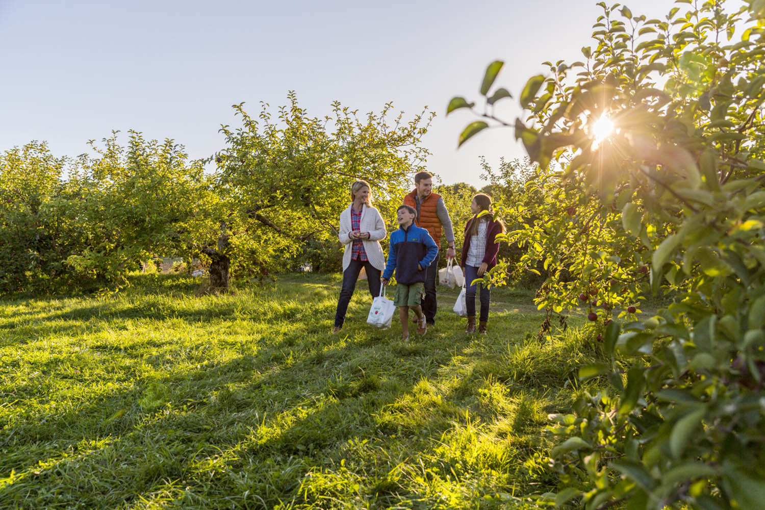 Family walking through field apple picking