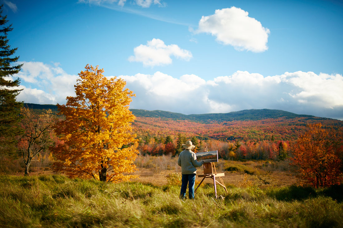 Map painting a picture of the foliage in a field