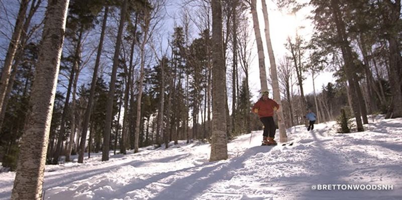 Rosebrook Glades, Bretton Woods, Bretton Woods