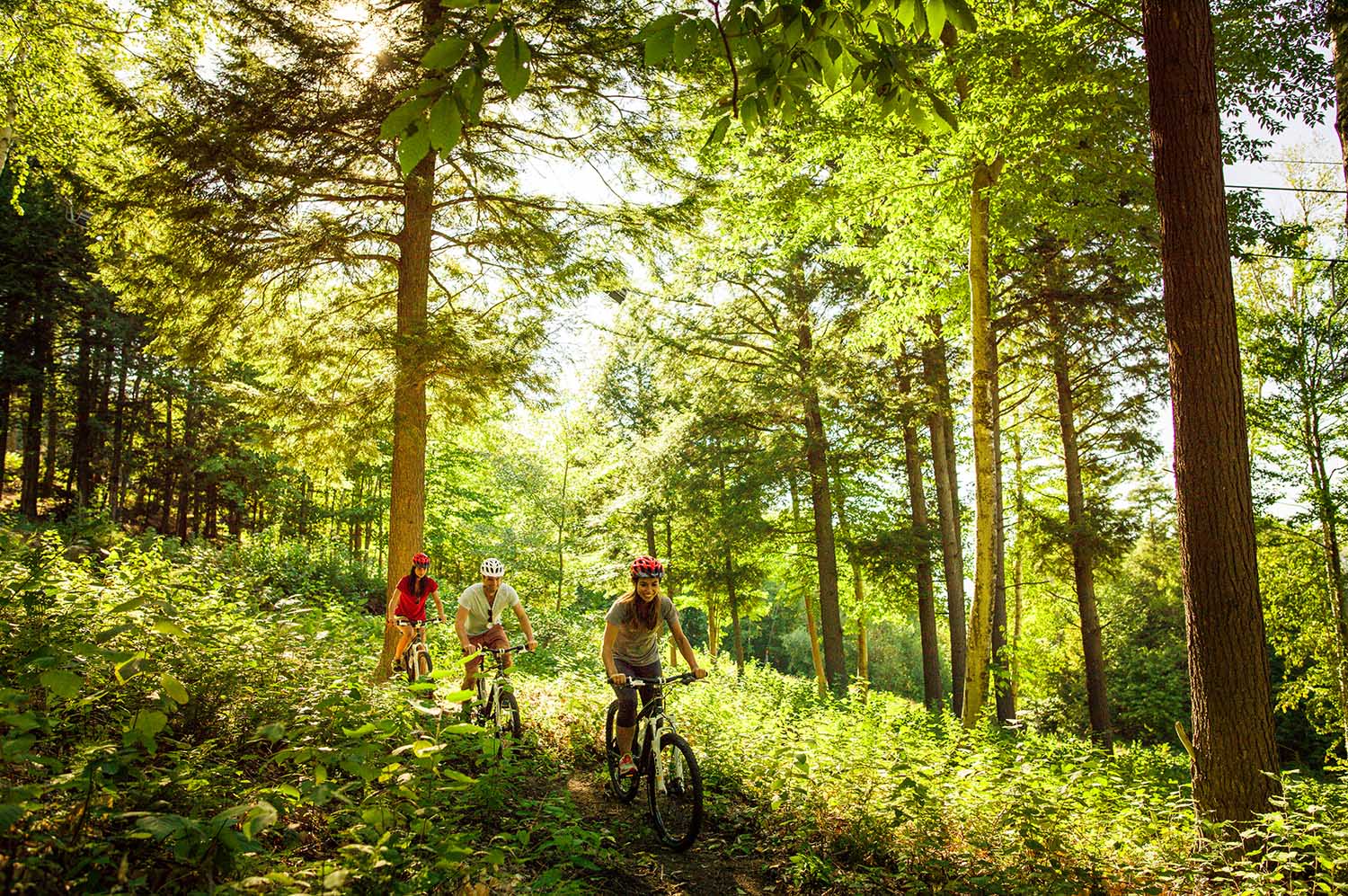 People biking on a trail