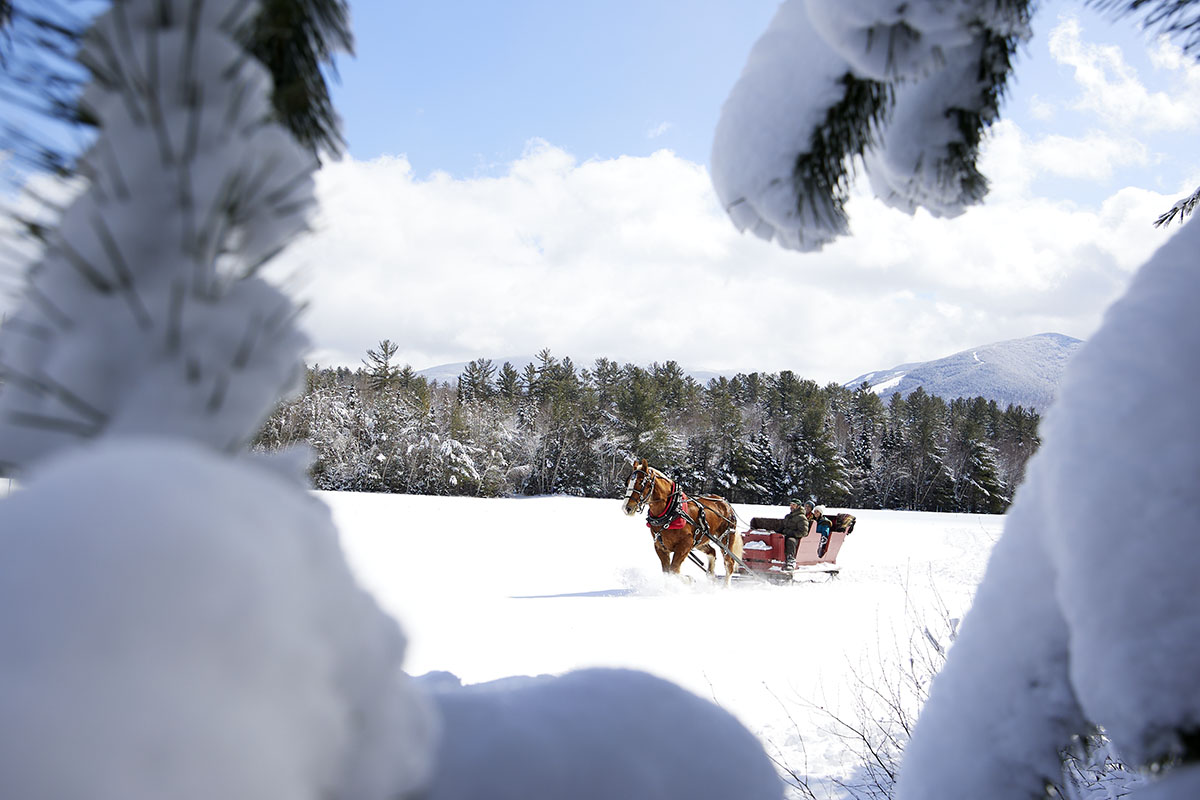 Family on a sleigh ride in the snow