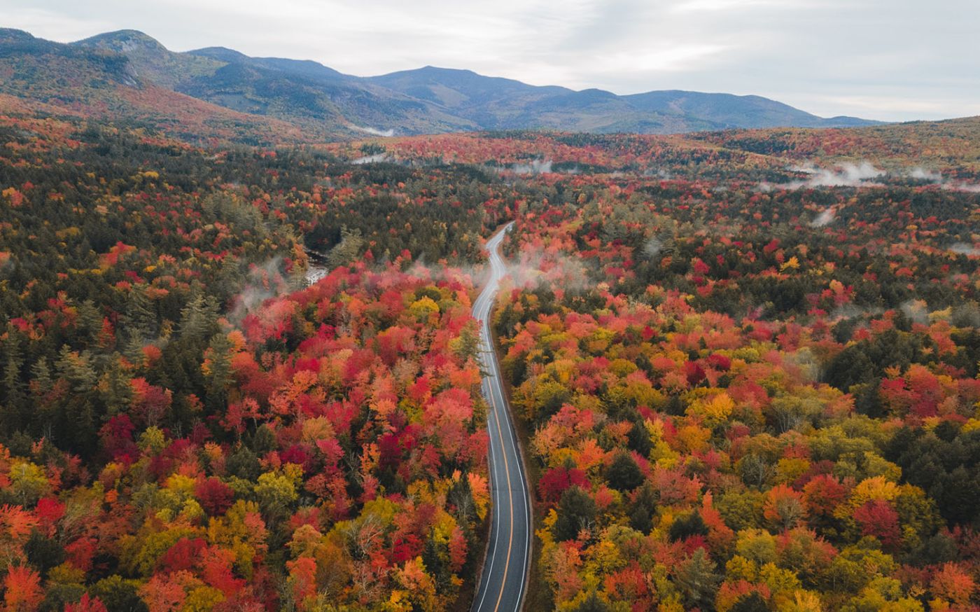 red and orange foliage from an areal view