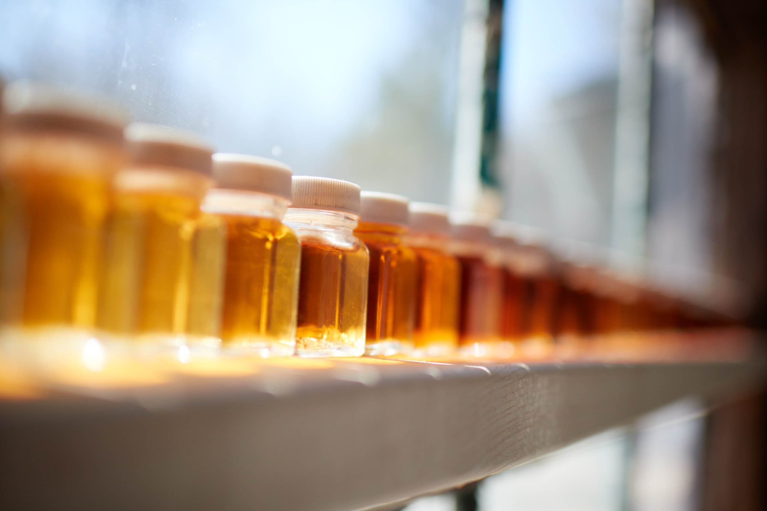 a row of maple syrup bottles in a window