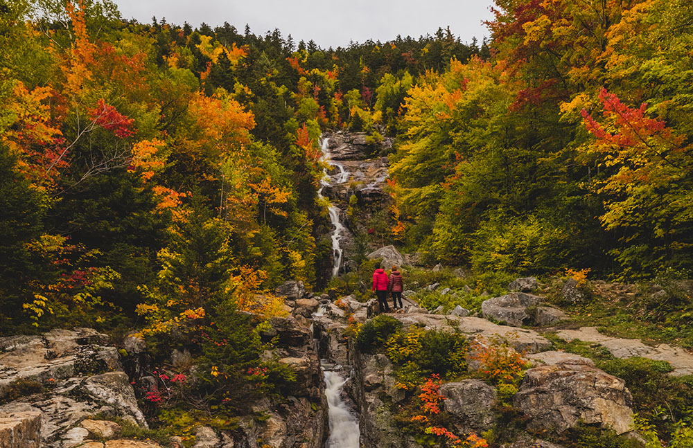 a couple admiring a waterfall surrounded by fall foliage