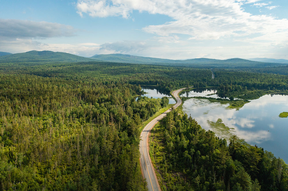 aerial view of a road through trees