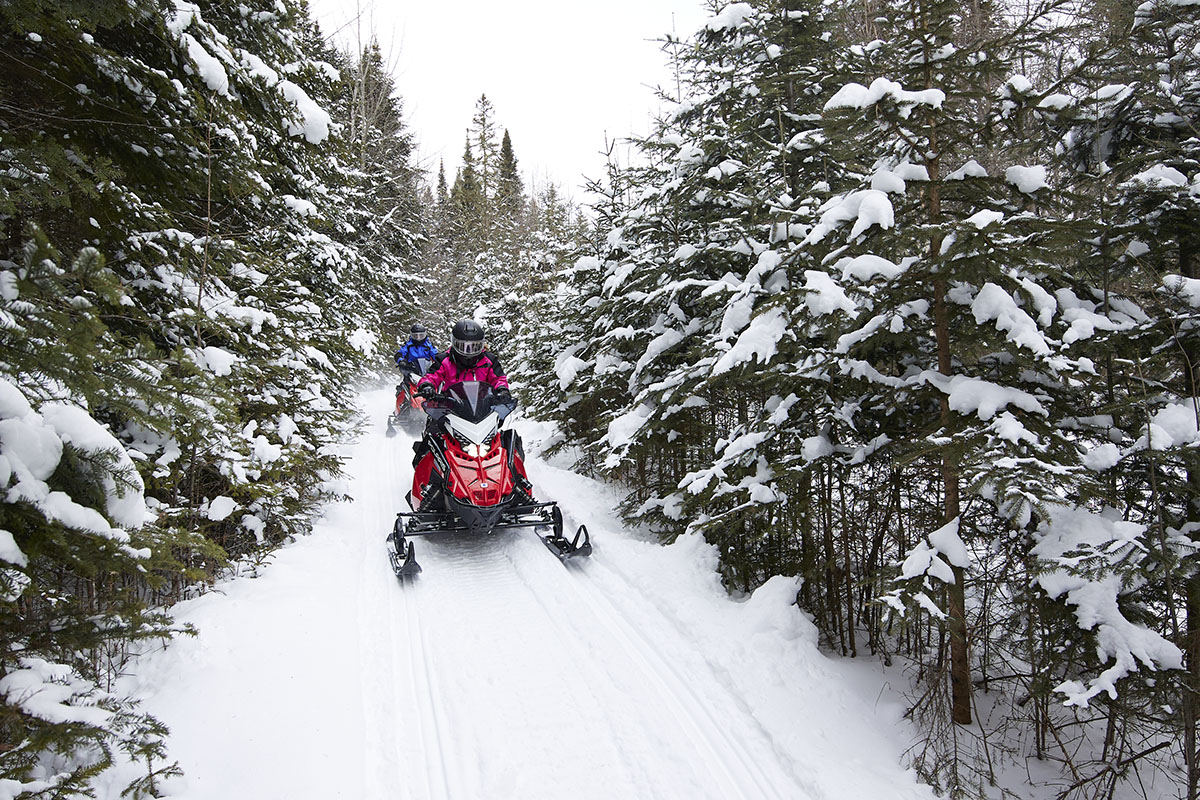 people snowmobiling through trees