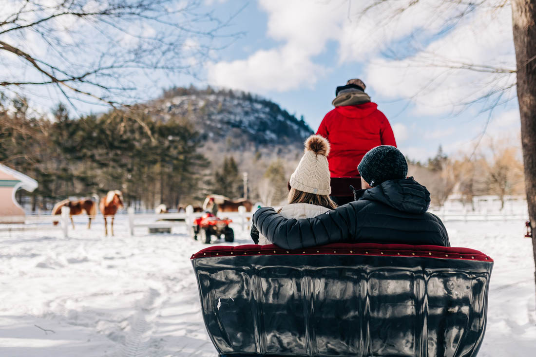 Two people riding in a sleigh