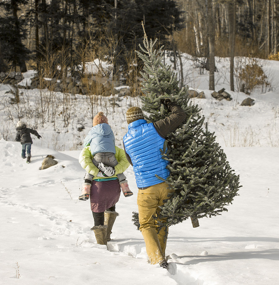 Family picking a christmas tree