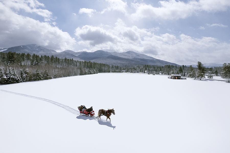 Horse pulling a sleigh in the snow