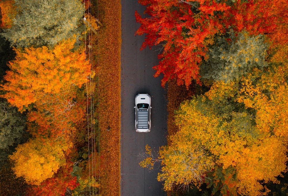 Birds eye view of a car driving through fall leaves