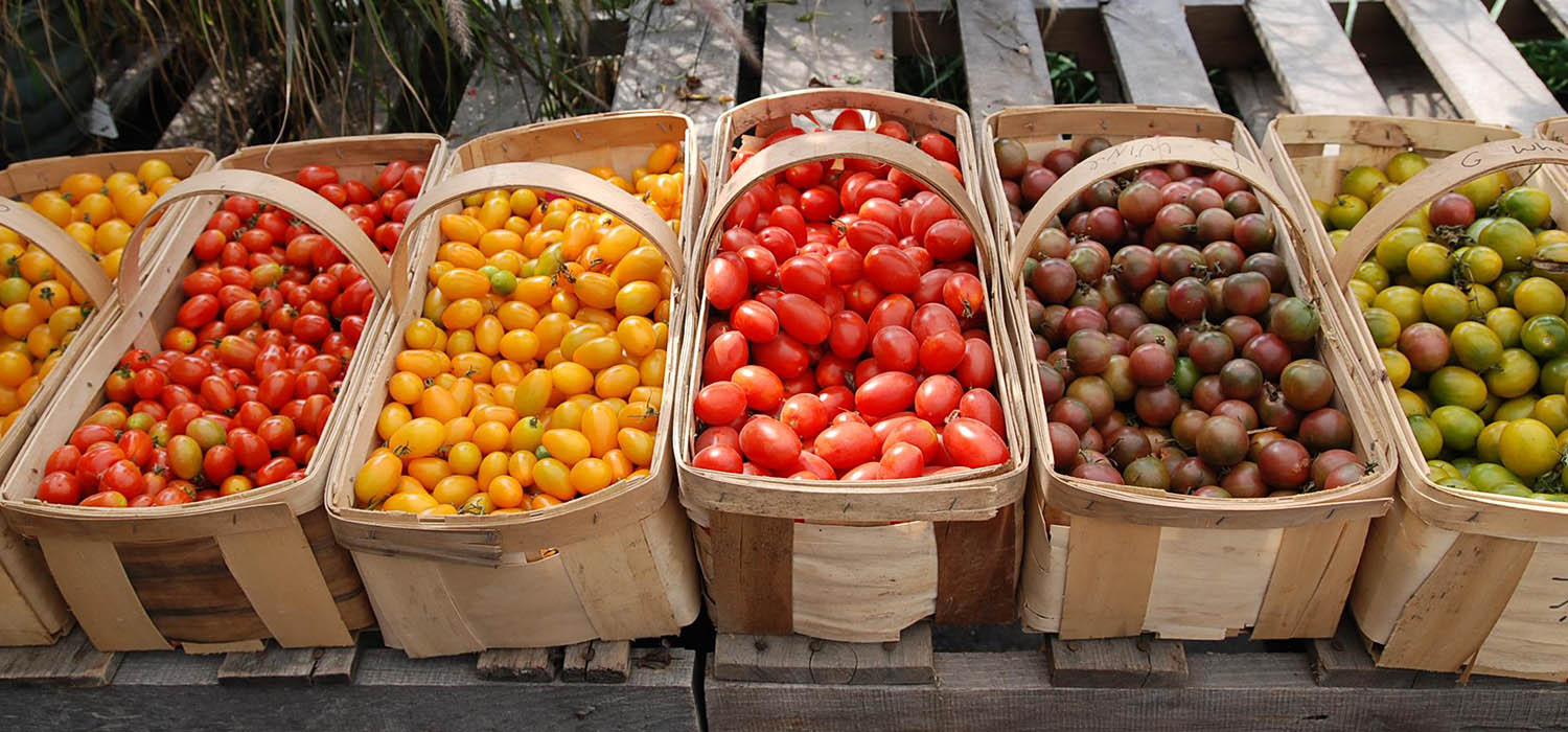 baskets of fruits and veggies at a market