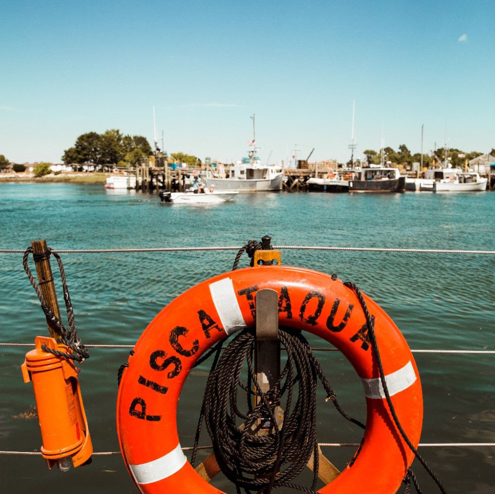 an image of a life ring on a boat overlooking the ocean