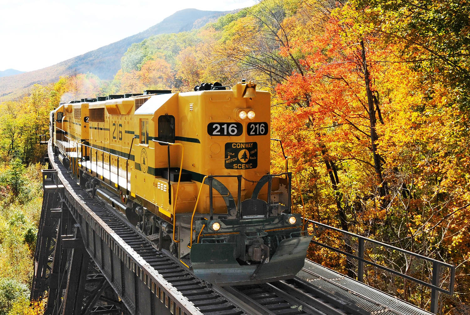 Train on tracks going through fall leaves