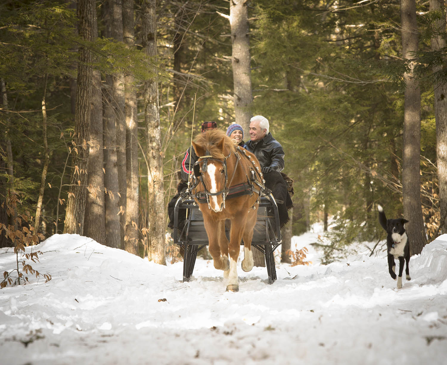 Horse drawn carriage with two people riding throught a snowy forest