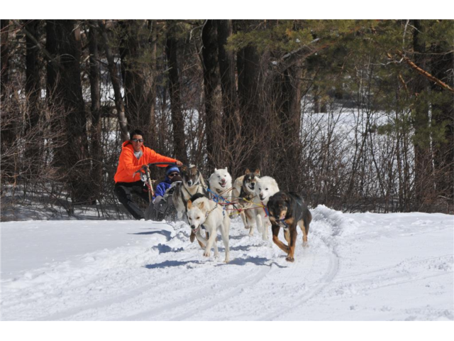 muddy paw sled dog kennel tours