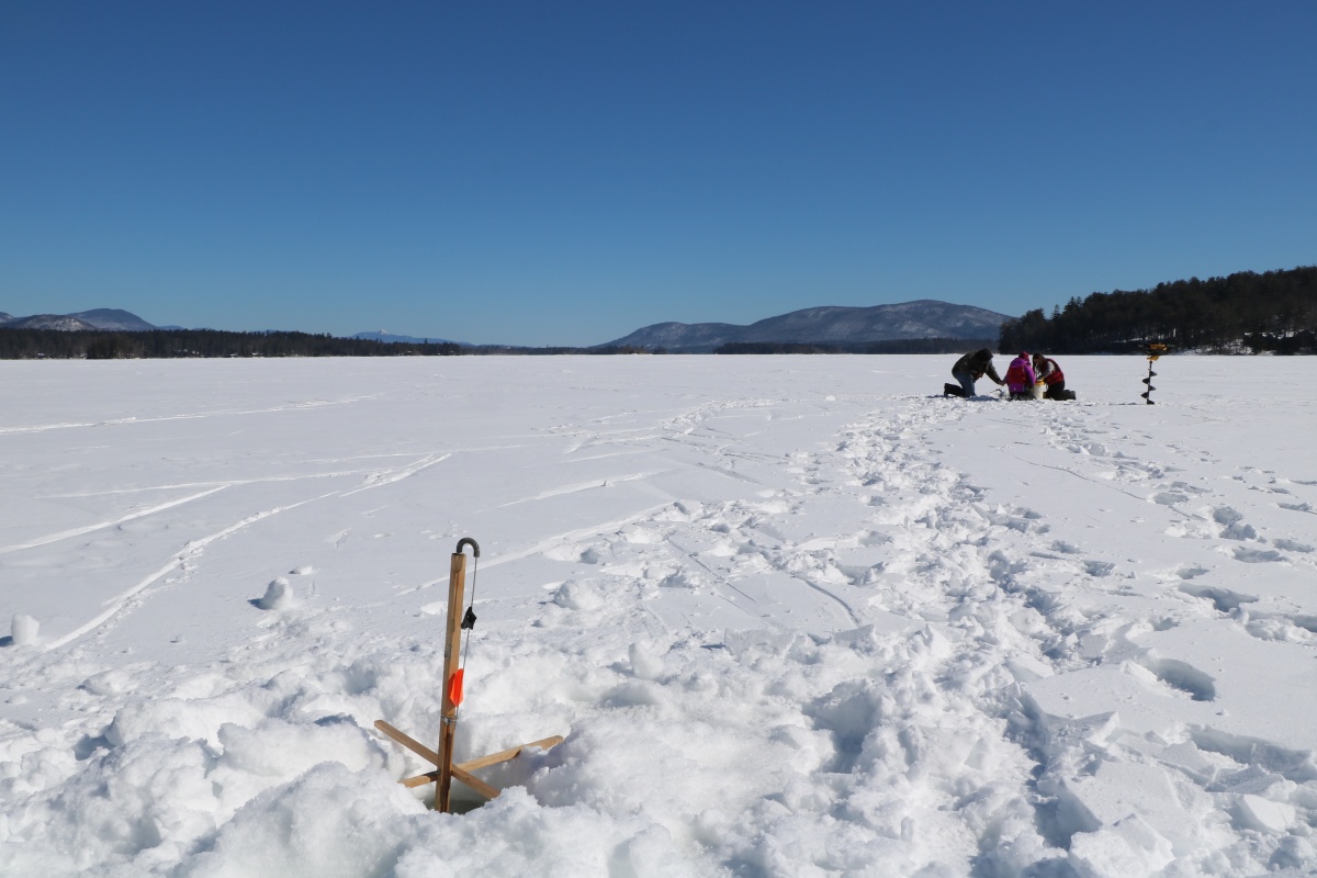Visit NH : Build-A-Burbot: How to Make and Set a Cusk Line for Ice Fishing