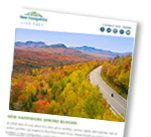 Image of a newsletter with a fall foliage scene