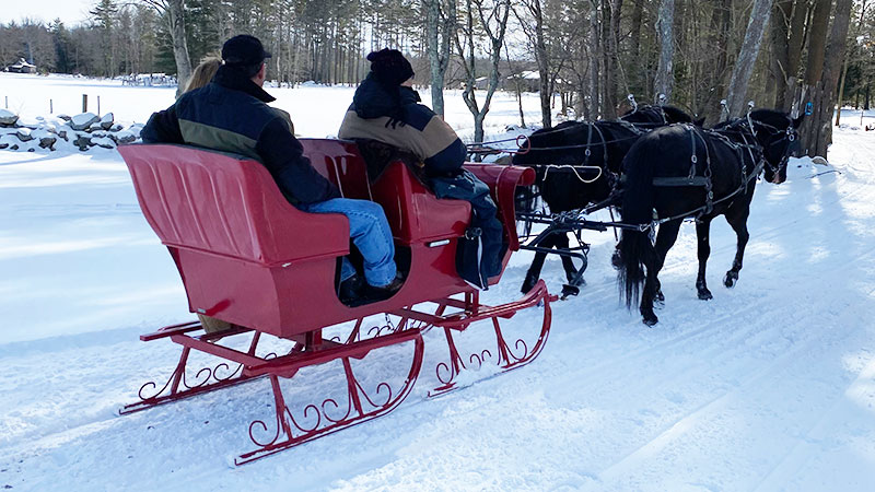 Featured image for Romantic Sleigh Rides