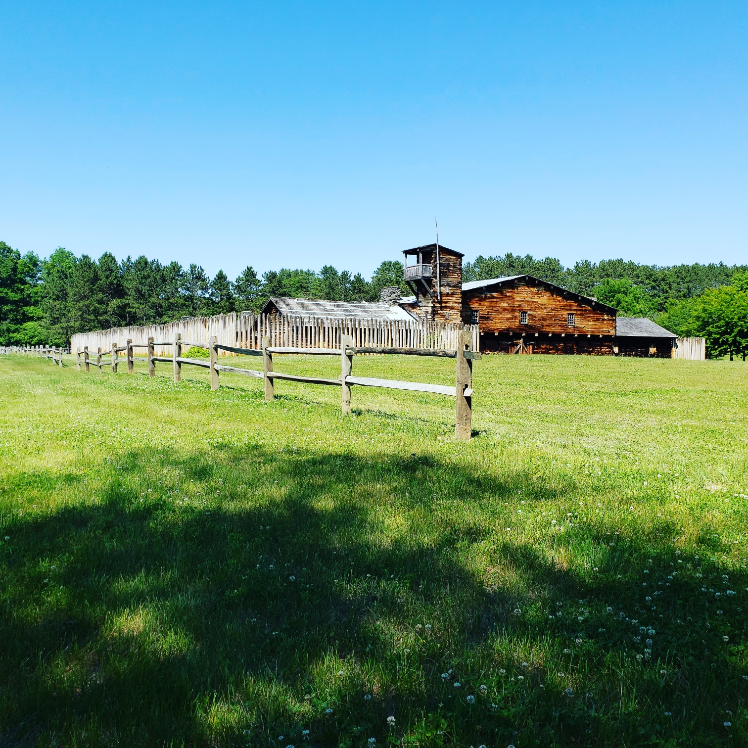 A Summer's View