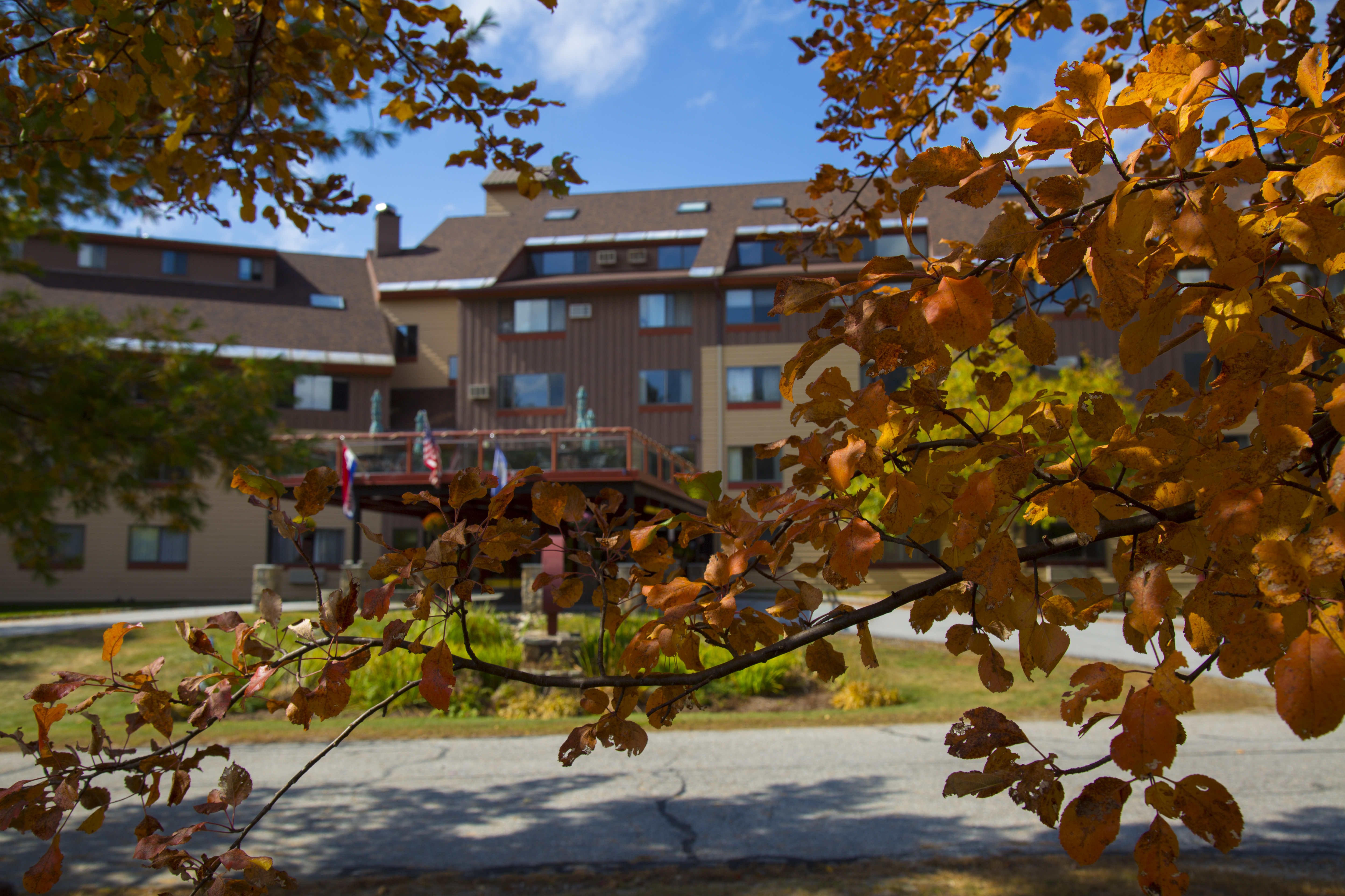 Fall foliage at Black Bear Lodge